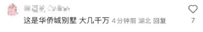 黄杨钿甜家里的10个好货！AG真人游戏第一品牌扒一扒(图5)