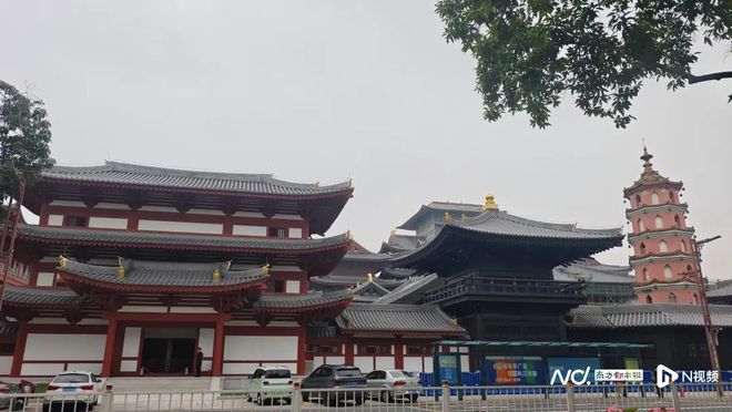 终开放 首批区域免费迎客岭南古寺风貌AG真人平台佛山仁寿寺历经十一年改造